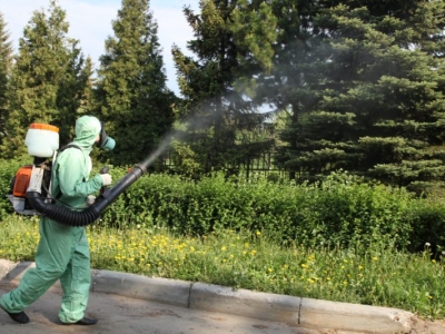 Уничтожение комаров в Егорьевске